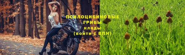 ECSTASY Белая Калитва