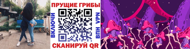 Галлюциногенные грибы ЛСД  блэк спрут вход  Луга 