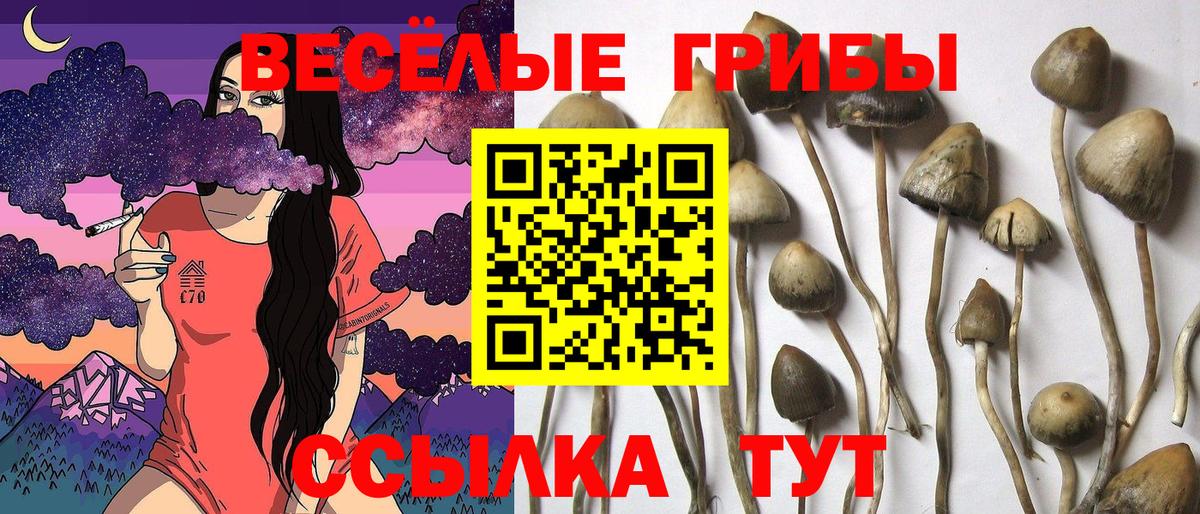 Галлюциногенные грибы Magic Shrooms  Галлюциногенные грибы MAGIC MUSHROOMS  Вход с VPN  Луга 